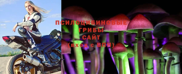 дживик Вяземский