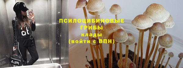 прущий лед Гусев
